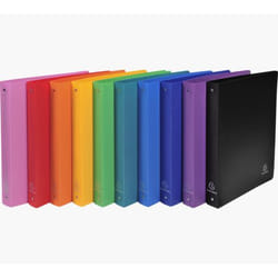 Exacompta 51699E classeur à anneaux A4 Multicolore