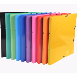 Exacompta 51829E, A4, Carton, Multicolore, 600 g/m², 320 mm, 250 mm