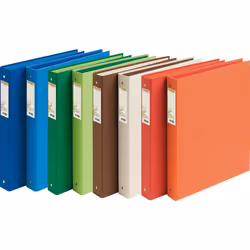 Exacompta 51980E classeur à anneaux A4 Multicolore