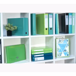 Exacompta 53623E PROMO fichier Carton A4