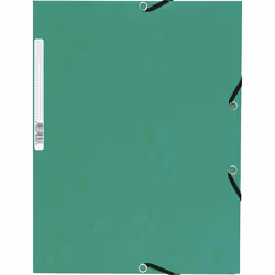 Exacompta 55303E, A4, Papier, Vert, 250 feuilles, 240 mm, 320 mm