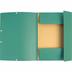 Exacompta 55303E fichier Papier Vert A4