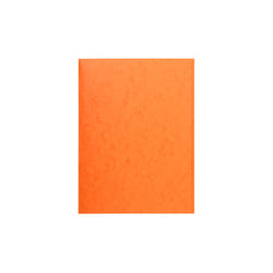 Exacompta 56409E fichier Carton Orange A4
