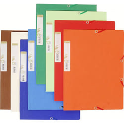 Exacompta 56980E fichier Papier Multicolore A4