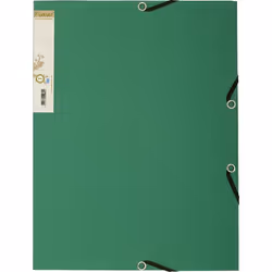 Exacompta 56983E, A4, Papier, Vert, 240 mm, 320 mm