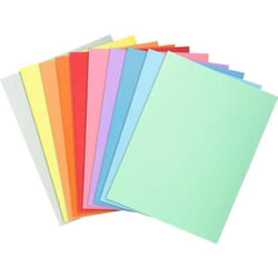 Exacompta SUPER 250 Chemise A4 pour 200 feuilles jaune rouge vert orange rose bleu clair vert pâle bleu foncé crème…