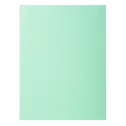 Chemises - EXACOMPTA - SUPER 250 - 50 pièces - 24x32cm - Vert clair - Carte
