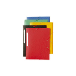 Exacompta 55950E fichier Polypropylène (PP) Multicolore A4