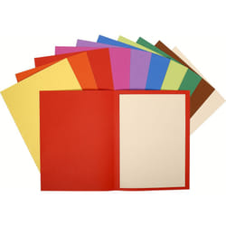 Exacompta 160300E fichier Papier Multicolore A4