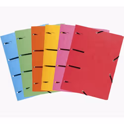 Exacompta 447100E, Porte-documents, A4, Carton, Multicolore, 375 g/m², 240 mm