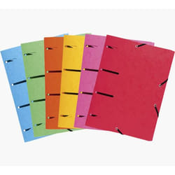 Exacompta 447100E fichier Carton Multicolore A4