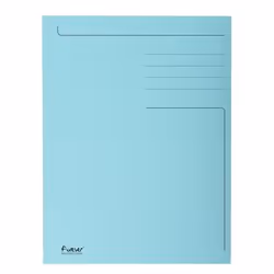 Exacompta 449006E, Bleu, 80 feuilles, 2 mm