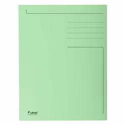 Exacompta 449013E, Vert, 80 feuilles, 2 mm