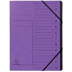 Exacompta 541208E, Project folder, A4, Carton, Violet, 355 g/m², Elastique
