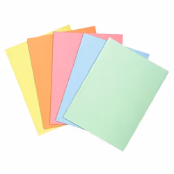 10 Paquet de 30 sous-chemises SUPER 60 - 22x31cm - Couleurs assorties