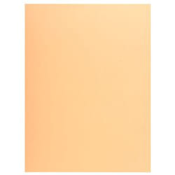 Exacompta Jura 250 Crème A4
