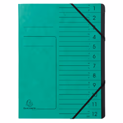 Exacompta 541203E, Project folder, A4, Carton, Vert, 355 g/m², Elastique
