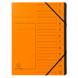 Exacompta 541204E, Project folder, A4, Carton, Orange, 355 g/m², Elastique