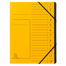 Exacompta 541209E, Project folder, A4, Carton, Jaune, 355 g/m², Elastique