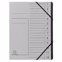 Exacompta 541211E, Project folder, A4, Carton, Gris, 355 g/m², Elastique