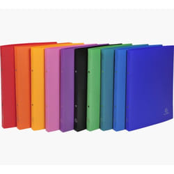 Exacompta 541999E classeur à anneaux A4 Multicolore