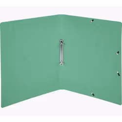 Exacompta Classeur 2 anneaux 15mm carte lustrée imprimée - A4 - Vert