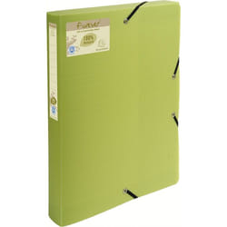Exacompta 553573E boîte à archive 350 feuilles Vert Polypropylène (PP)