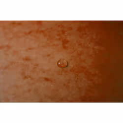 Exacompta 555414E fichier Carton Orange A4