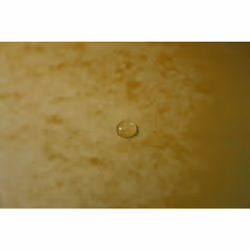Exacompta 555419E fichier Carton Jaune A4