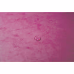 Exacompta 555420E fichier Carton Rose A4