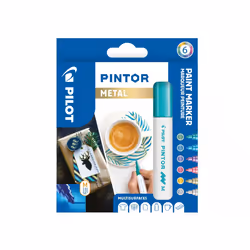Pilot Pintor