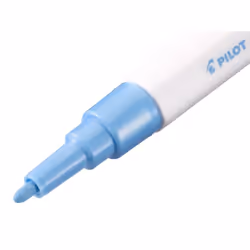 Pilot Pintor