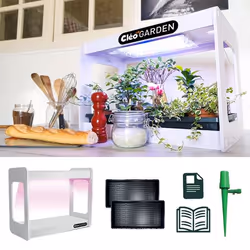 Cleopatre CG1MV-1K, Kit de démarrage, Blanc, 1 pièce(s), Boîte, 580 mm, 310 mm