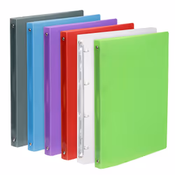 Viquel 020983, A4, Polypropylène (PP), Bleu, Vert, Gris, Rouge, Transparent, Violet, 100 feuilles, 210 mm, 297 mm