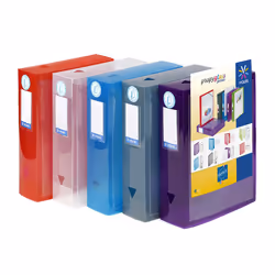 Viquel 143139-02, Couleurs assorties, Bleu, Gris, Rouge, Transparent, Violet, Polypropylène (PP), A4, 80 mm, France