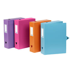 Viquel 143187-02 boîte à archive Couleurs assorties, Bleu, Orange, Rose, Violet Polypropylène (PP)