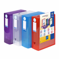 Viquel 144139-01, Couleurs assorties, Bleu, Rouge, Transparent, Violet, Polypropylène (PP), A4, 100 mm, France