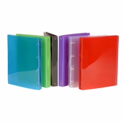 Viquel 218083-08 classeur à anneaux A4 Couleurs assorties