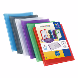 Viquel 440139-22, Porte-documents, A4, Polypropylène (PP), Couleurs assorties, Portrait, 20 pochettes