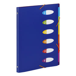 Viquel 495731-05 intercalaire de classement Dossier manila Polypropylène (PP) Bleu, Vert, Orange, Rose, Rose, Jaune