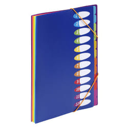 Viquel 988731 Dossier manila Polypropylène (PP) Bleu, Vert, Orange, Rose, Rouge, Jaune