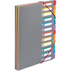 Trieur document - Viquel - A4 - 12 compartiments - Gris - Polypropylène
