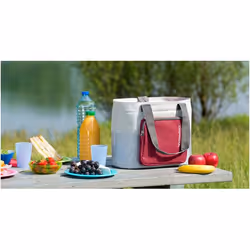 Campingaz Urban Picnic Bag glacière 18 L Gris, Rouge