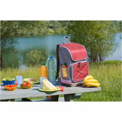 Campingaz Urban Picnic Bacpac glacière 30 L Gris, Rouge