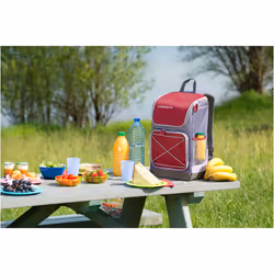 Campingaz Urban Picnic Bacpac glacière 30 L Gris, Rouge