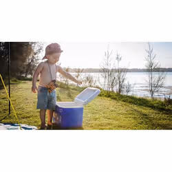 Coleman 16QT Tricolour Performance Cooler glacière 15 L Noir, Bleu