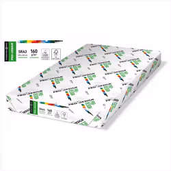 inapa-tecno PRDES160X418, Impression laser/jet d'encre, 320x450 mm, 250 feuilles, 160 g/m², Blanc, Forest Stewardship Council ...