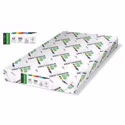 inapa-tecno PRDES300X409, Impression laser/jet d'encre, A3 (297x420 mm), 125 feuilles, 300 g/m², Blanc, Forest Stewardship Co ...