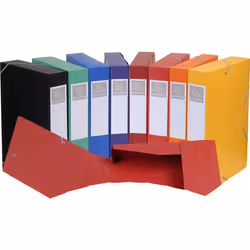 Exacompta 16000H boîte à archive 500 feuilles Multicolore Papier