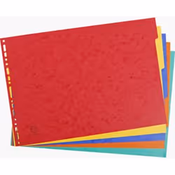 Exacompta 2905E intercalaire Carton